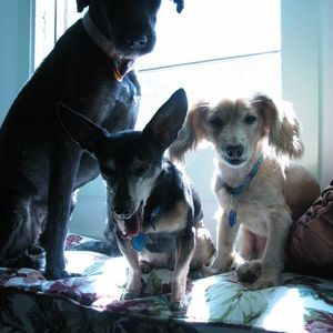 Meet your Posher, Joanne